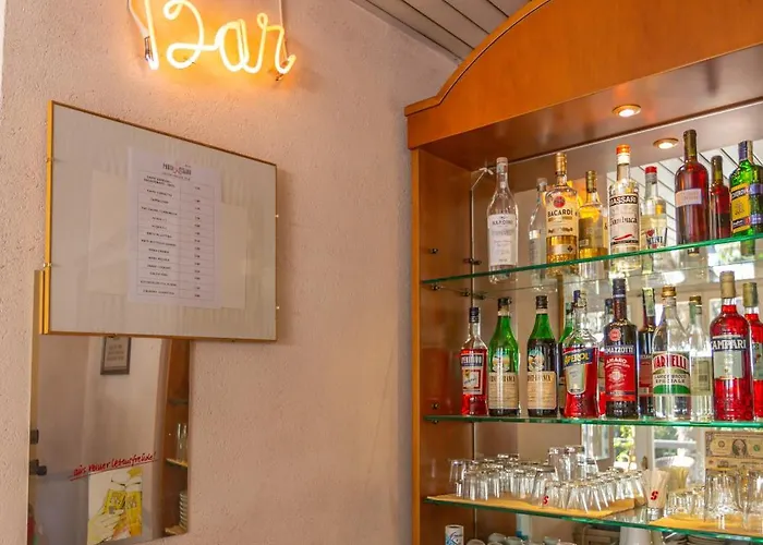 Hotel Parco Fellini Rimini